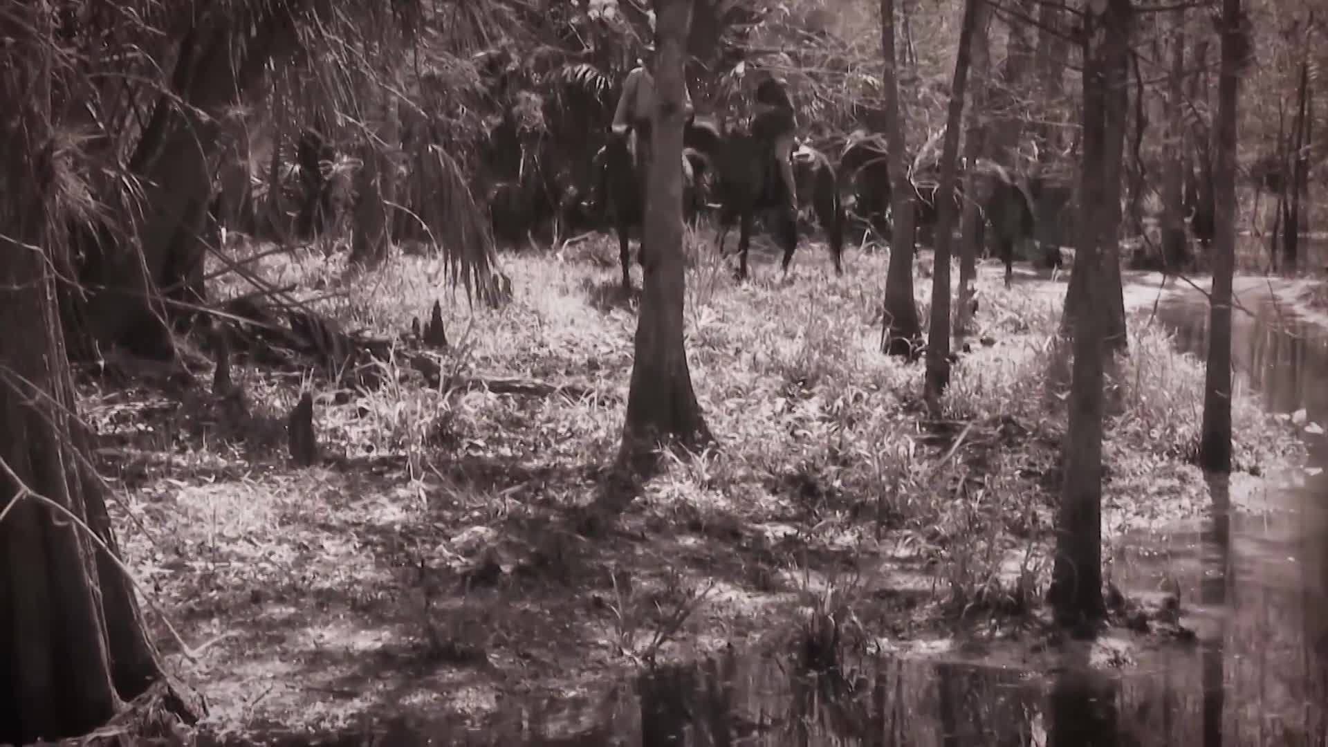 Florida Frontiers: The Barber-Mizell Family Feud
